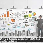 What is a Business Incubator? – Definition,, Benefits, and More