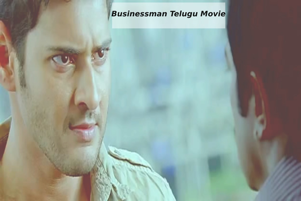 Businessman Telugu Movie (1)