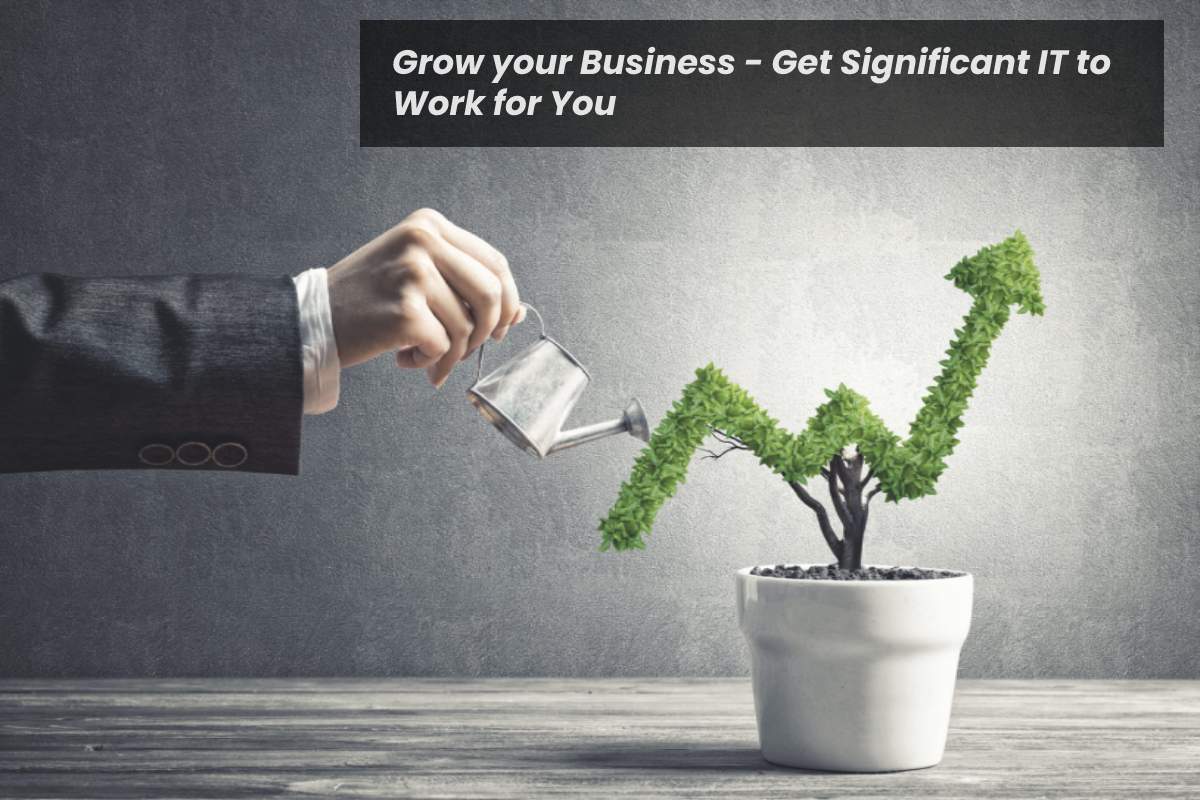 Grow your Business - Get Significant IT to Work for You