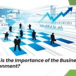What is the Importance of the Business Environment?