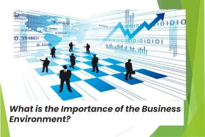 What is the Importance of the Business Environment?