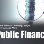 Public Finance - Meaning, Scope, Functions and More