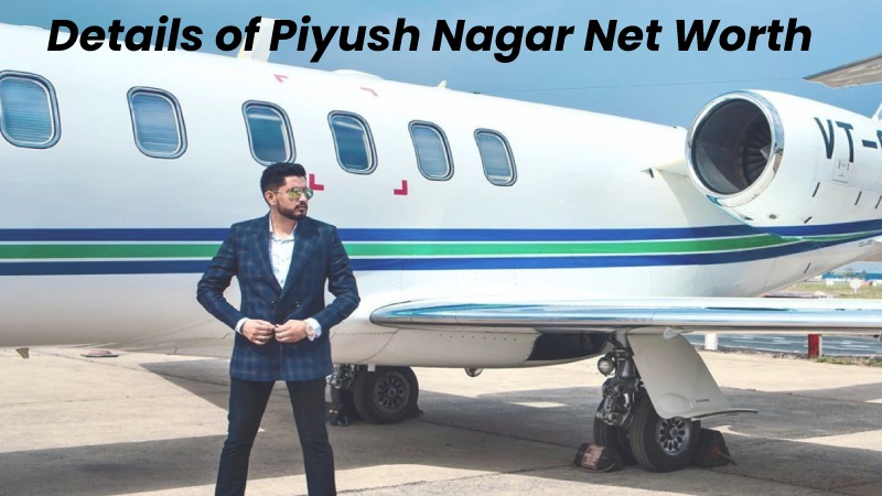 Details of Piyush Nagar Net Worth