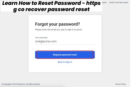 https g co recover password reset