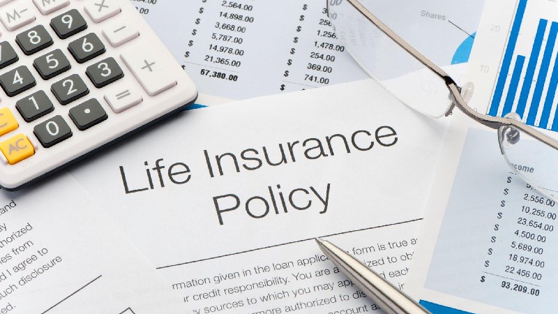 Investigate Government-Sponsored Programs That Provide Life Insurance During Hard Times.