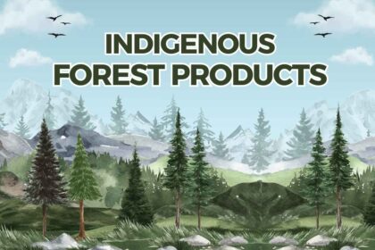 indigenous forest products