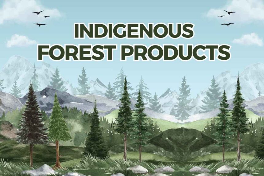 indigenous forest products