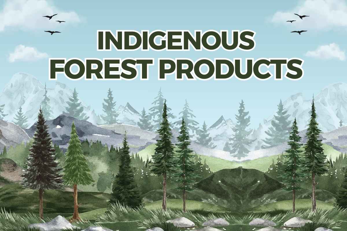 indigenous forest products